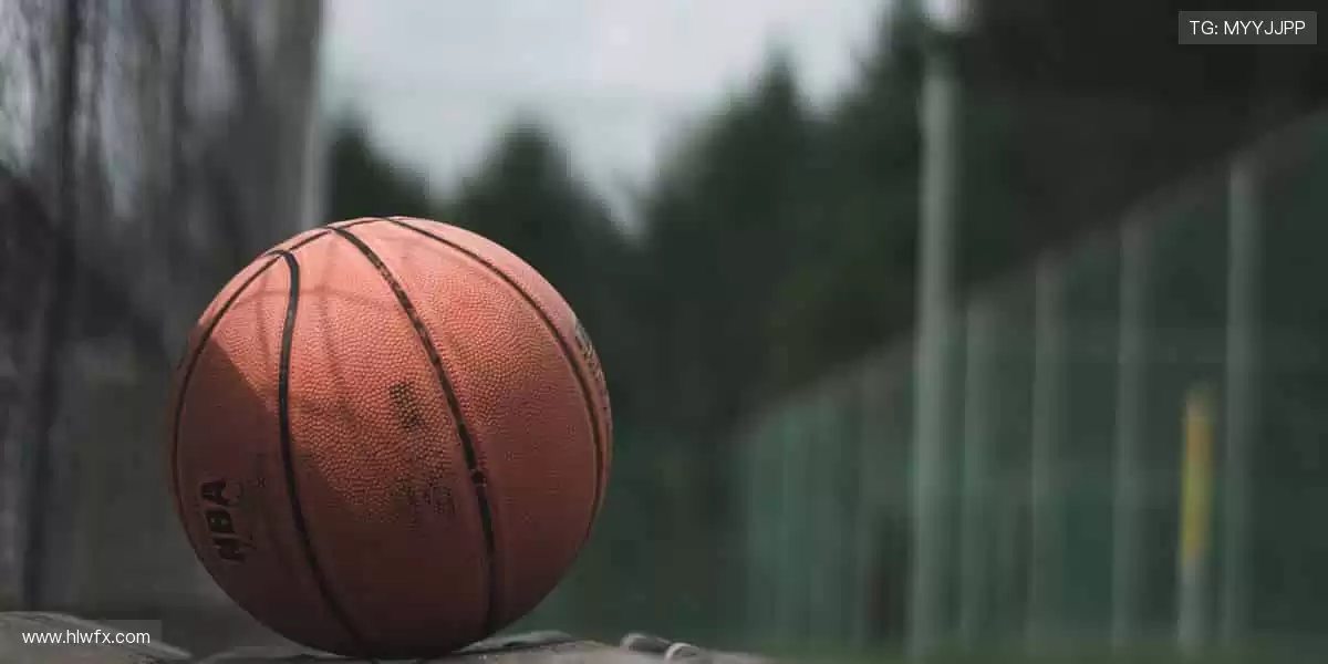 ⚾️从本土联赛到国际巅峰，我们承包你的所有热爱！🌍